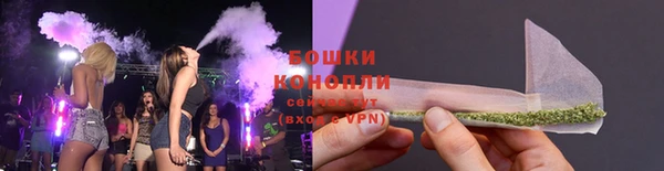 хмурый Губаха