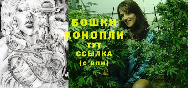 ГАЛЛЮЦИНОГЕННЫЕ ГРИБЫ Корсаков